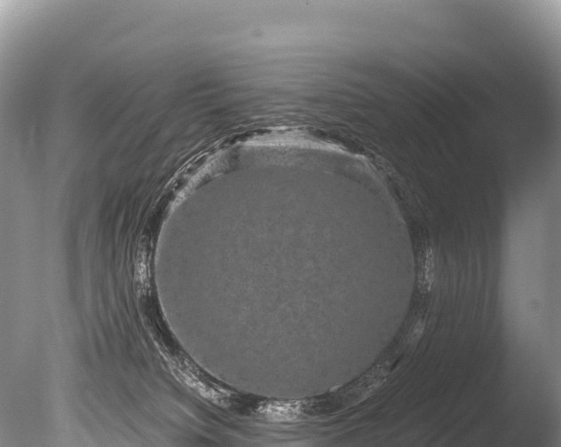 X0000085810084200703301536