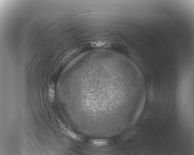 X0000085810085200703301536