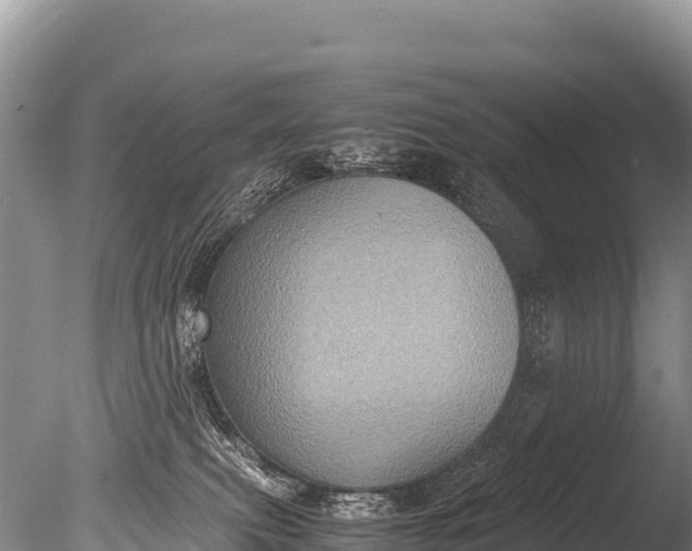 X0000085810087200703301537