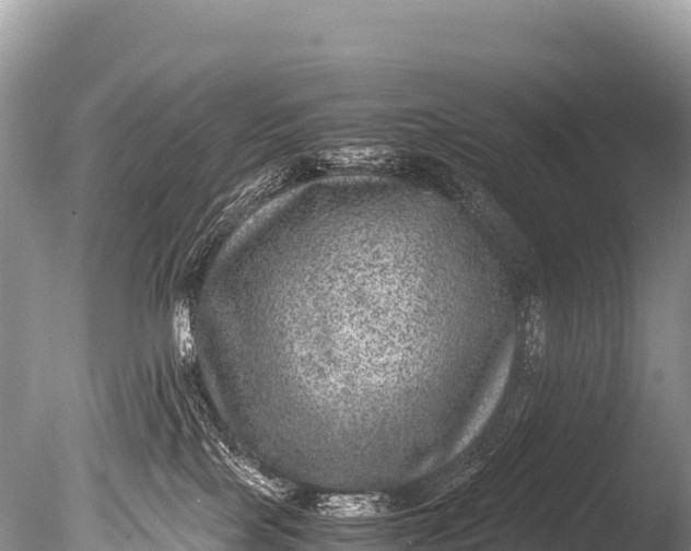 X0000085810089200703301537