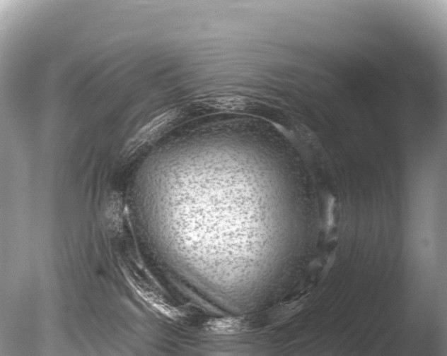 X0000085810092200703301537