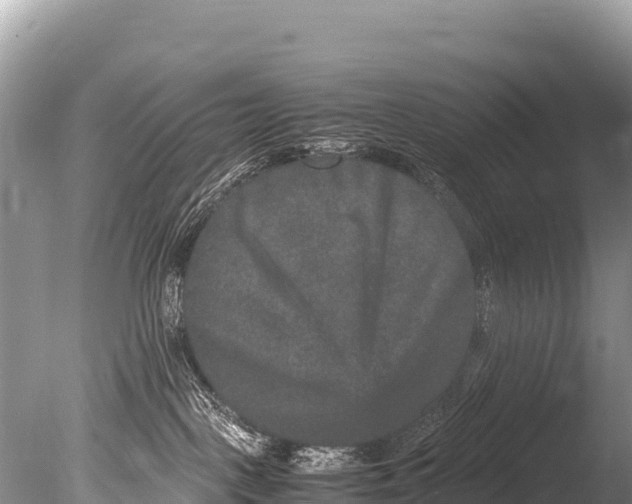 X0000085810093200703301537