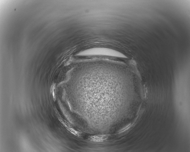 X0000085810094200703301537