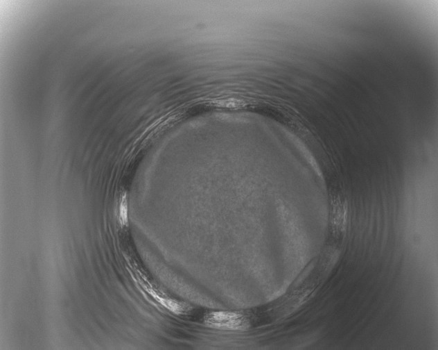 X0000085810095200703301537