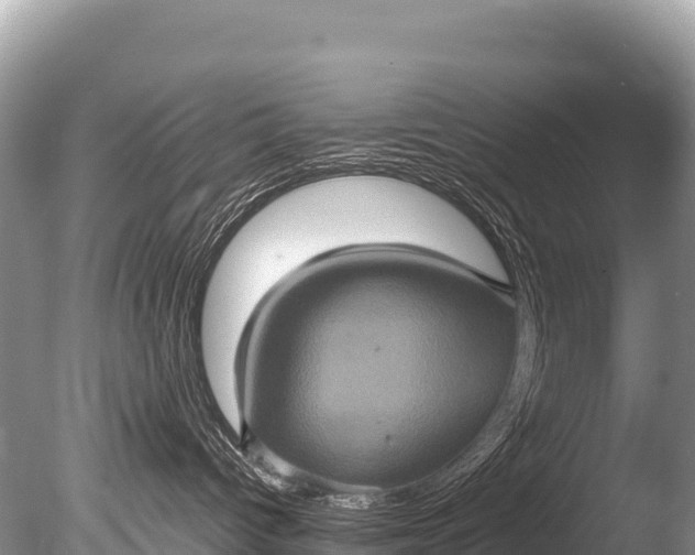 X0000085810096200703301537