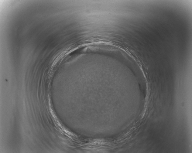 X0000085810097200703301536