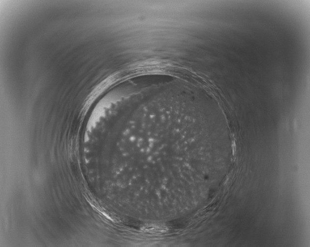 X0000085810099200703301536