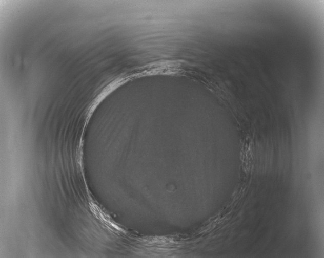 X0000085810100200703301536