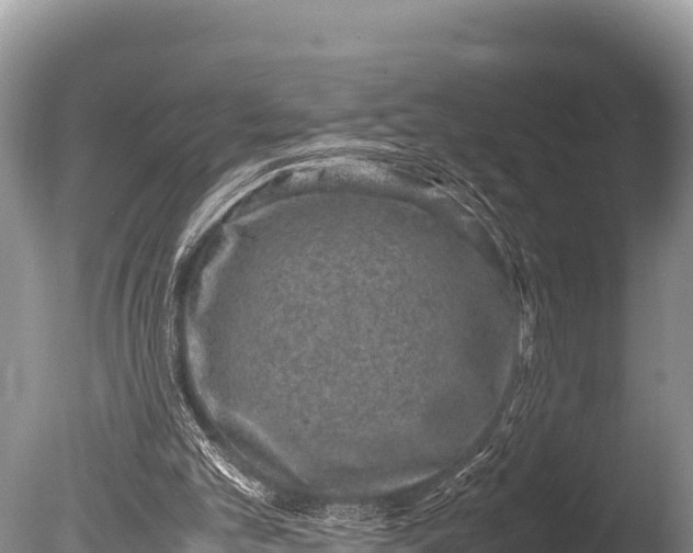 X0000085810101200703301536