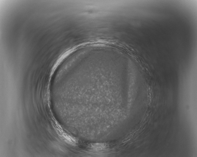 X0000085810102200703301536