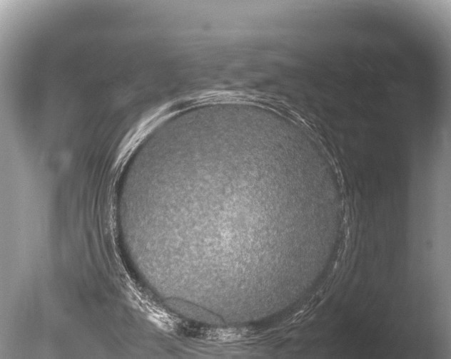 X0000085810103200703301536