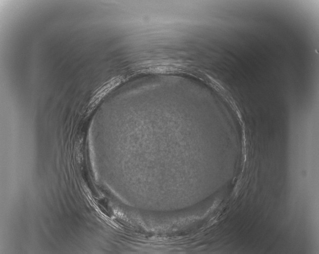 X0000085810105200703301536