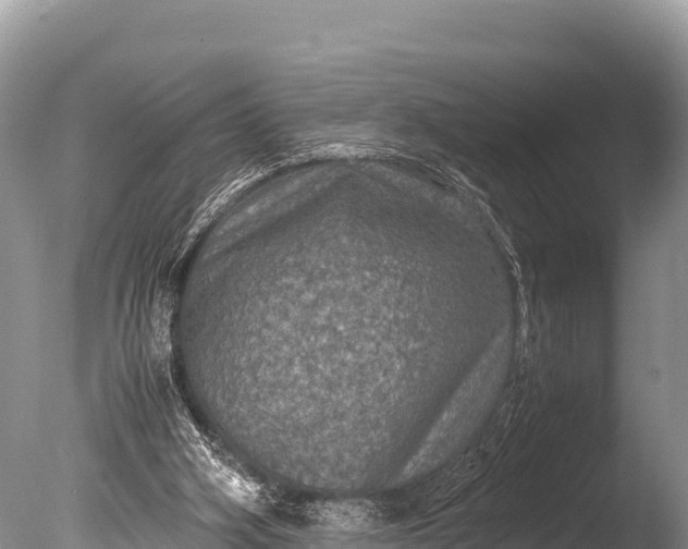 X0000085810106200703301536