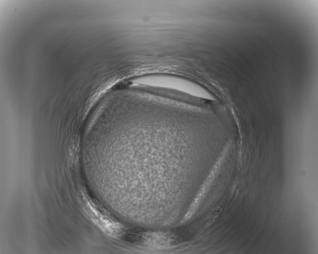 X0000085810107200703301536