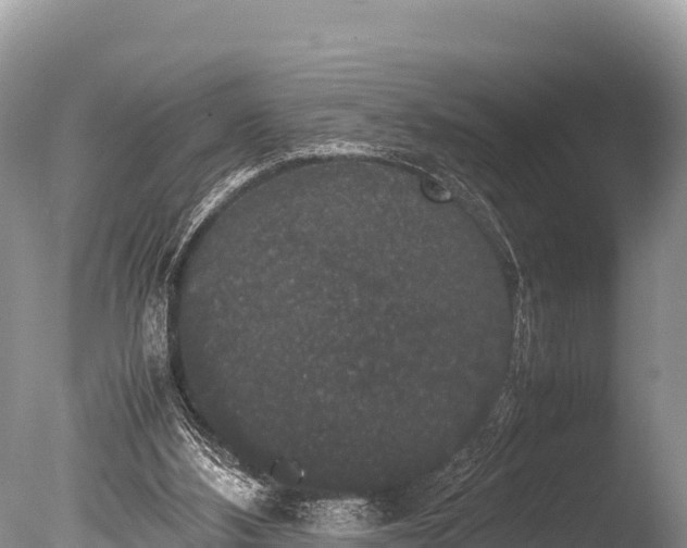 X0000085810108200703301536