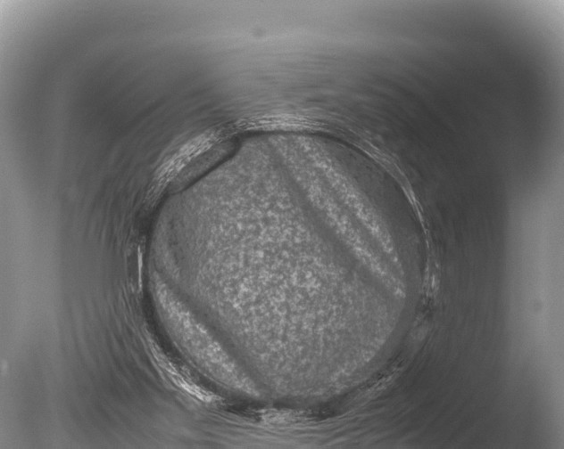 X0000085810109200703301536