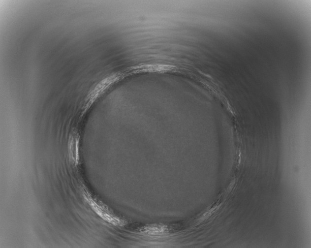 X0000085810110200703301536