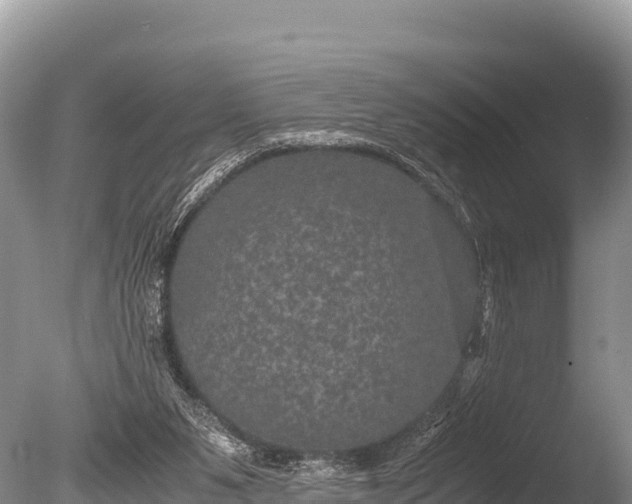 X0000085810111200703301536