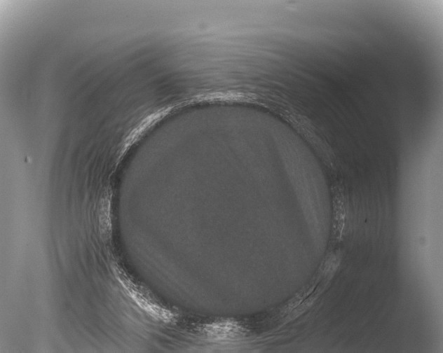 X0000085810112200703301536