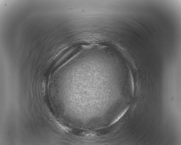 X0000085810113200703301536