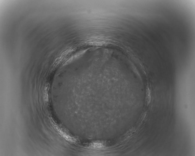 X0000085810114200703301536