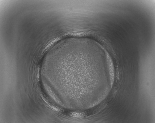 X0000085810115200703301536