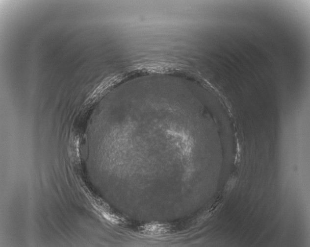 X0000085810117200703301536