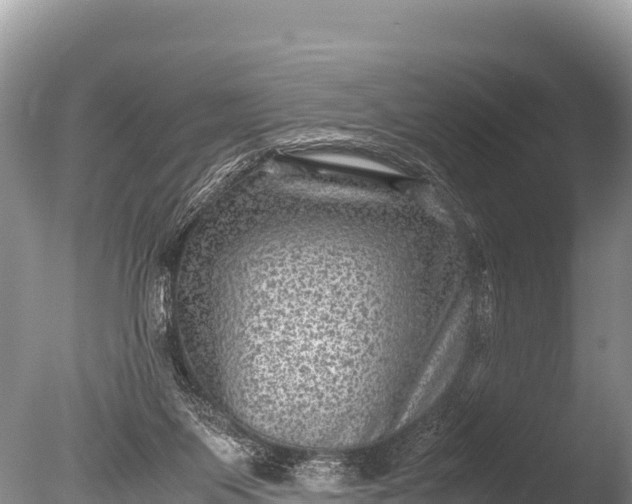 X0000085810119200703301535