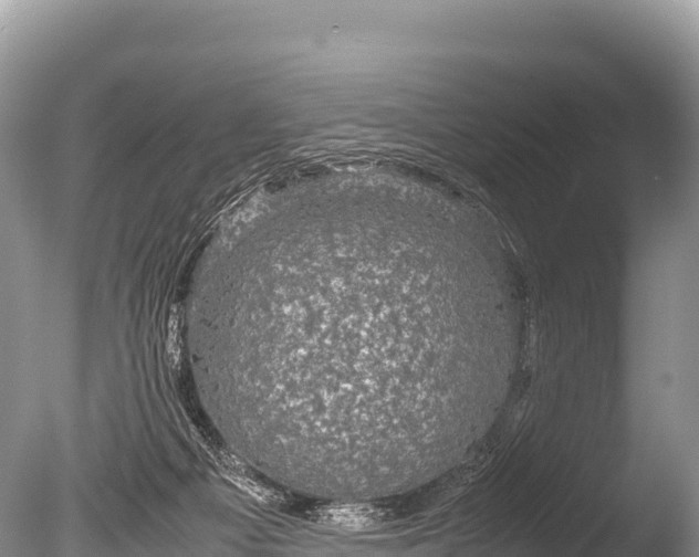 X0000085810121200703301535