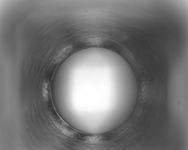 X0000085810122200703301535