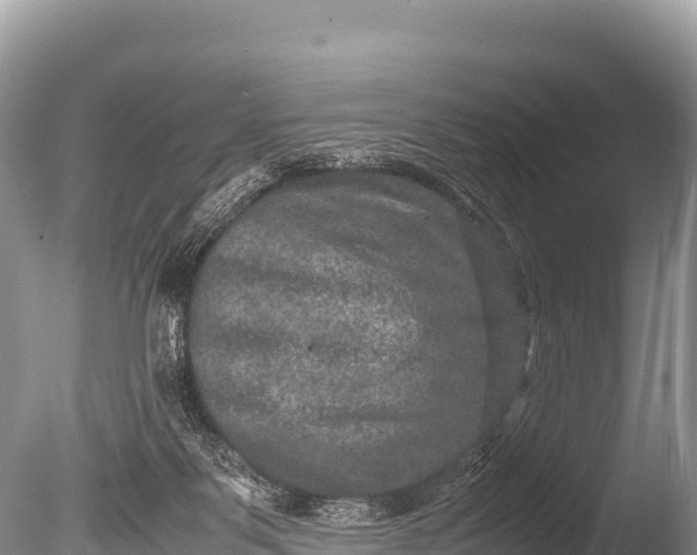 X0000085810123200703301535