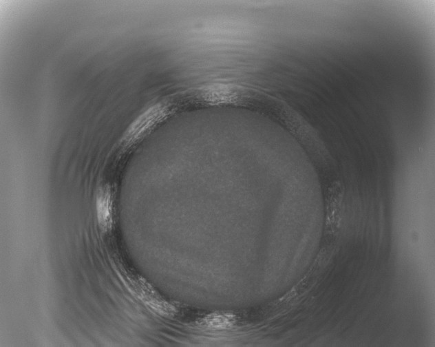 X0000085810124200703301535