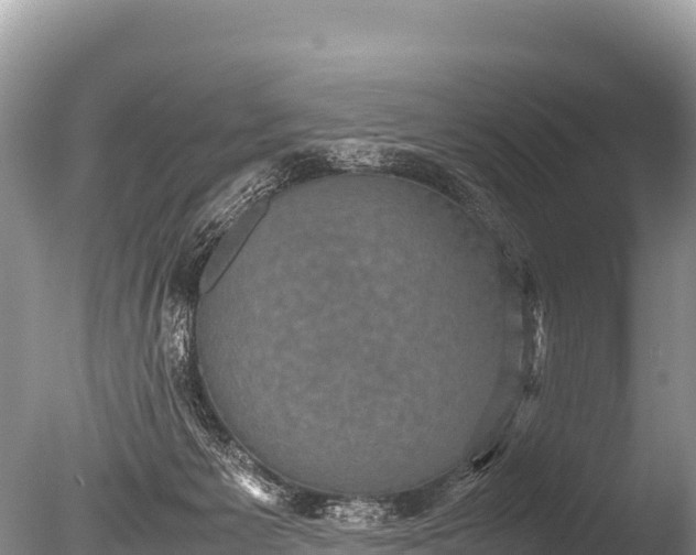 X0000085810125200703301535