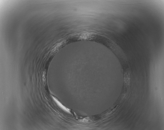 X0000085810127200703301535