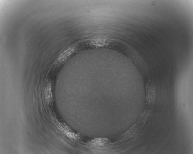 X0000085810128200703301535