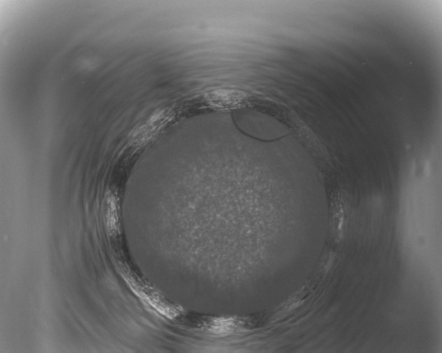 X0000085810130200703301535