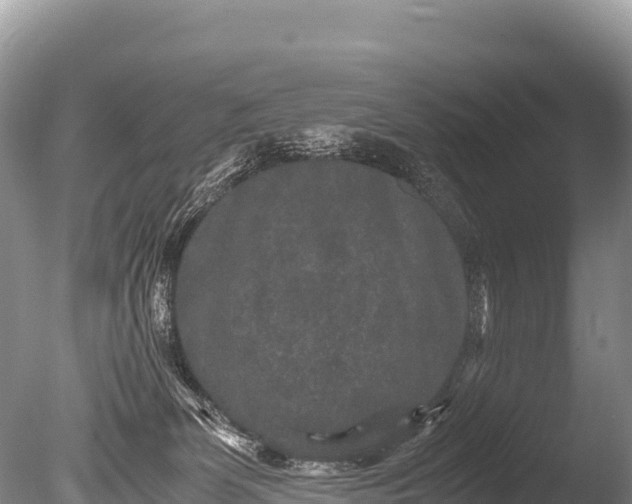 X0000085810131200703301535