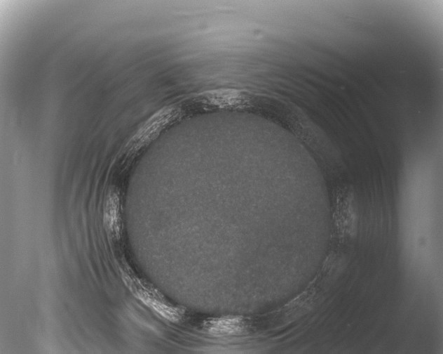 X0000085810132200703301535