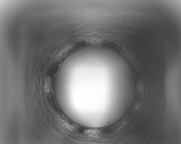 X0000085810133200703301535