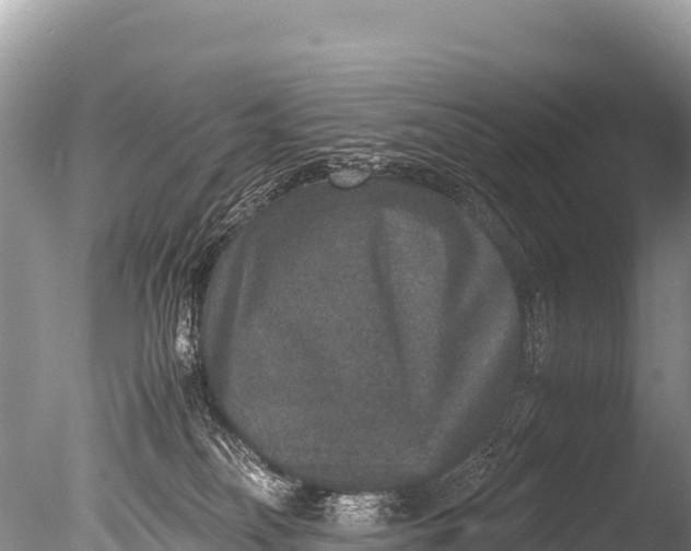 X0000085810134200703301535