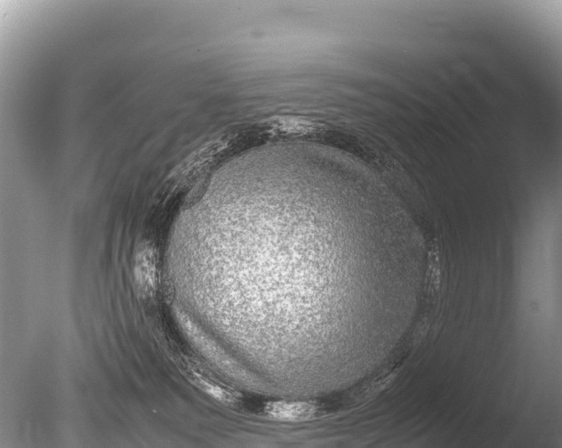 X0000085810135200703301535