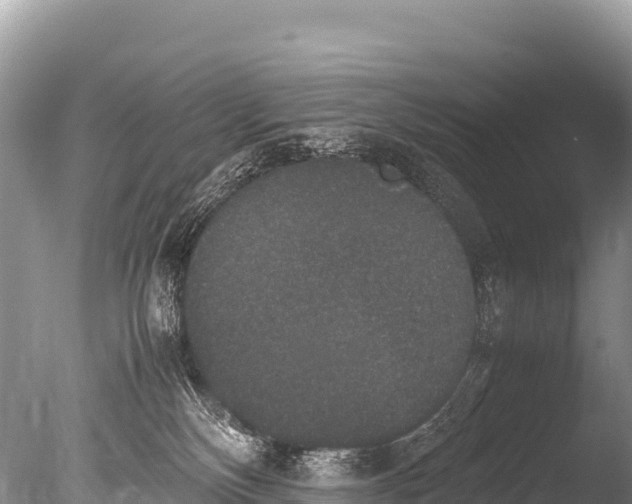 X0000085810136200703301535