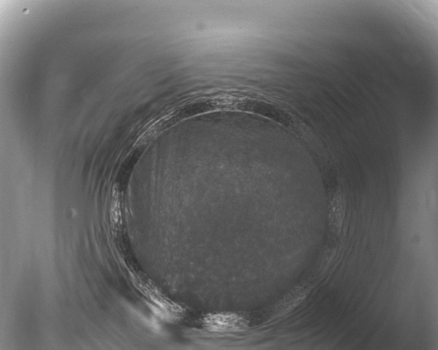 X0000085810137200703301535