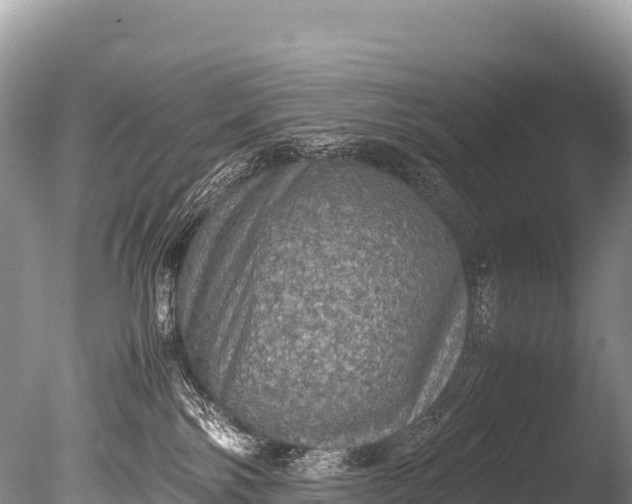 X0000085810138200703301535