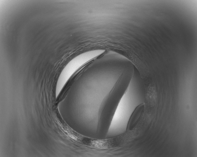 X0000085810139200703301535