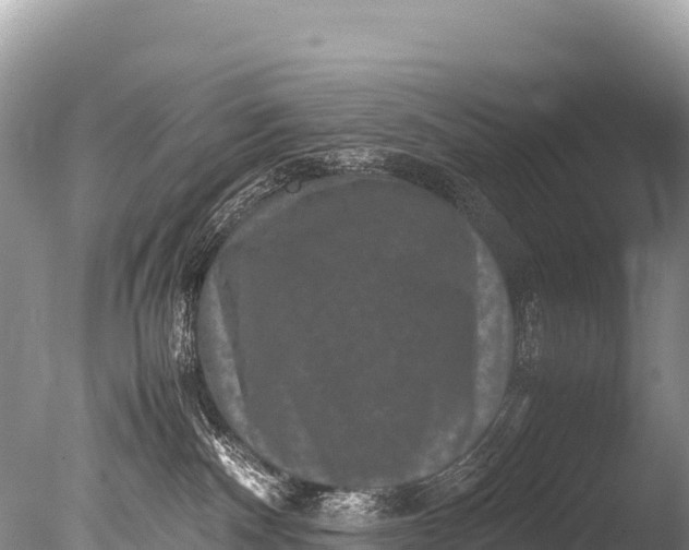 X0000085810140200703301535