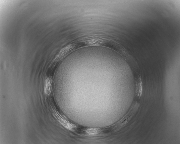 X0000085810142200703301535