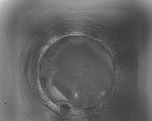 X0000085810145200703301534