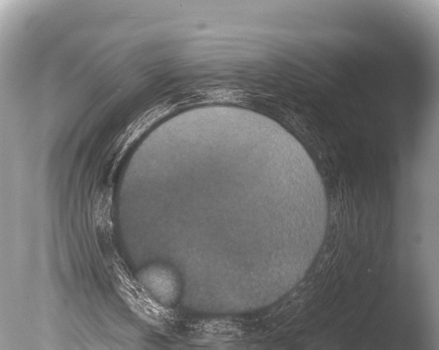 X0000085810146200703301534