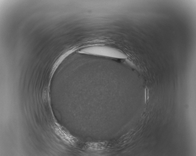 X0000085810147200703301534